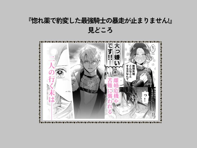 『惚れ薬で豹変した最強騎士の暴走が止まりません!』はrawやhitomiでネタバレ付きで紹介されてる？どこで無料で読める？